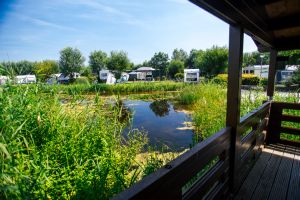 Comfortplaats op Minicamping Polderflora in Alphen aan de Rijn